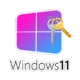 Инструмент для активации операционной системы Windows 11 Home